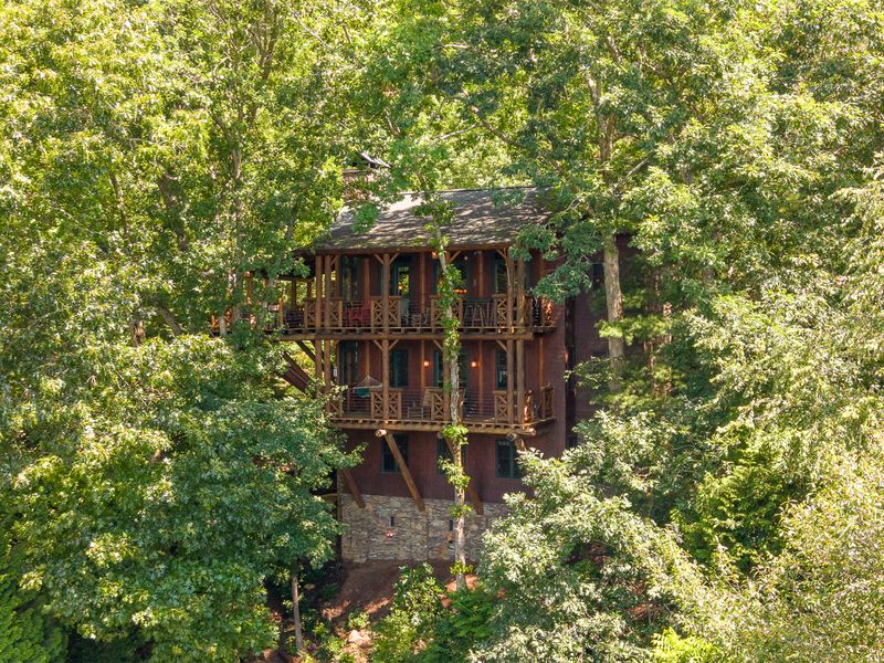 Aerial view of the Treehouse among the trees