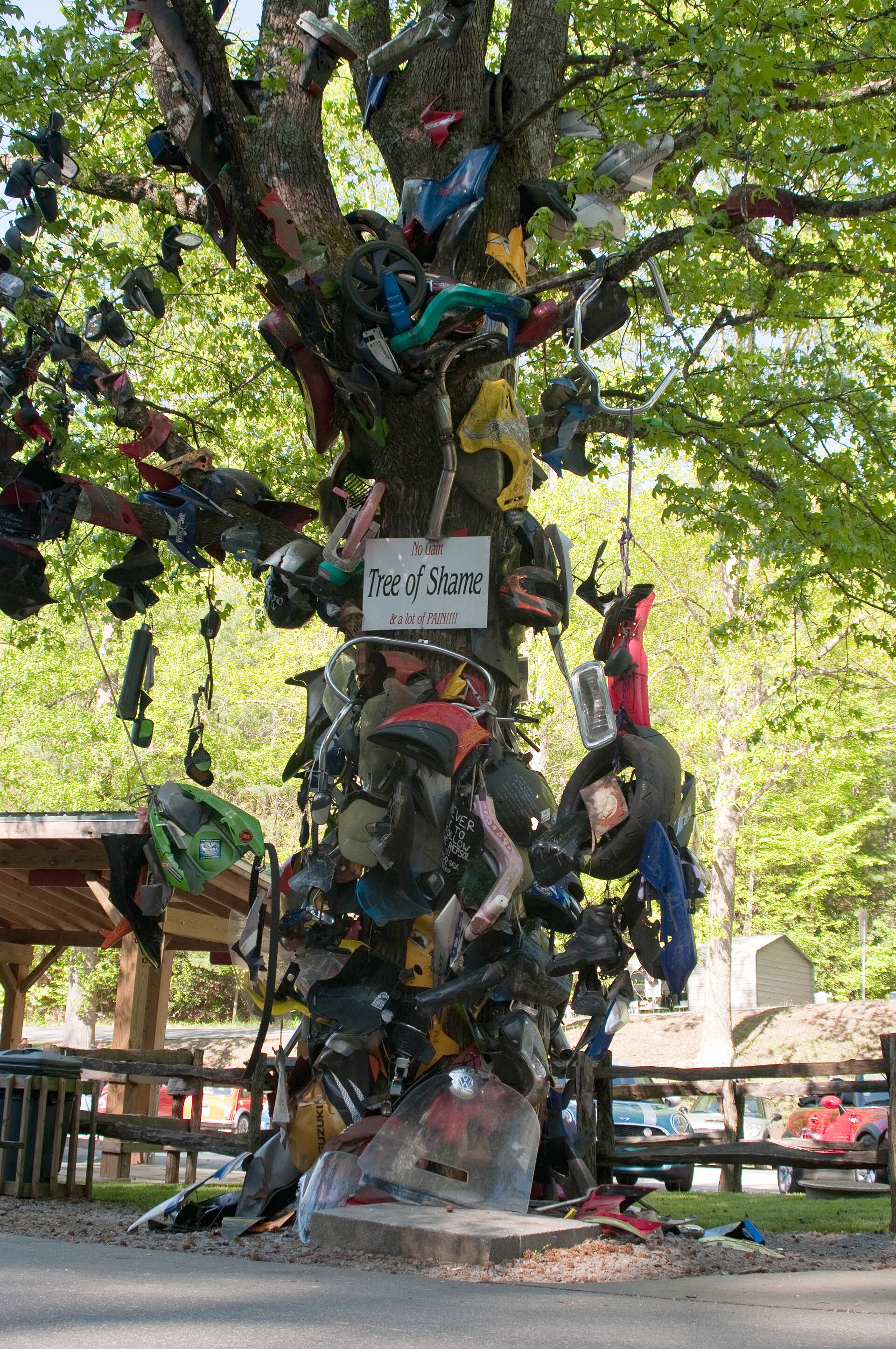 The Tree of Shame at Deals Gap, covered in motorcycle parts